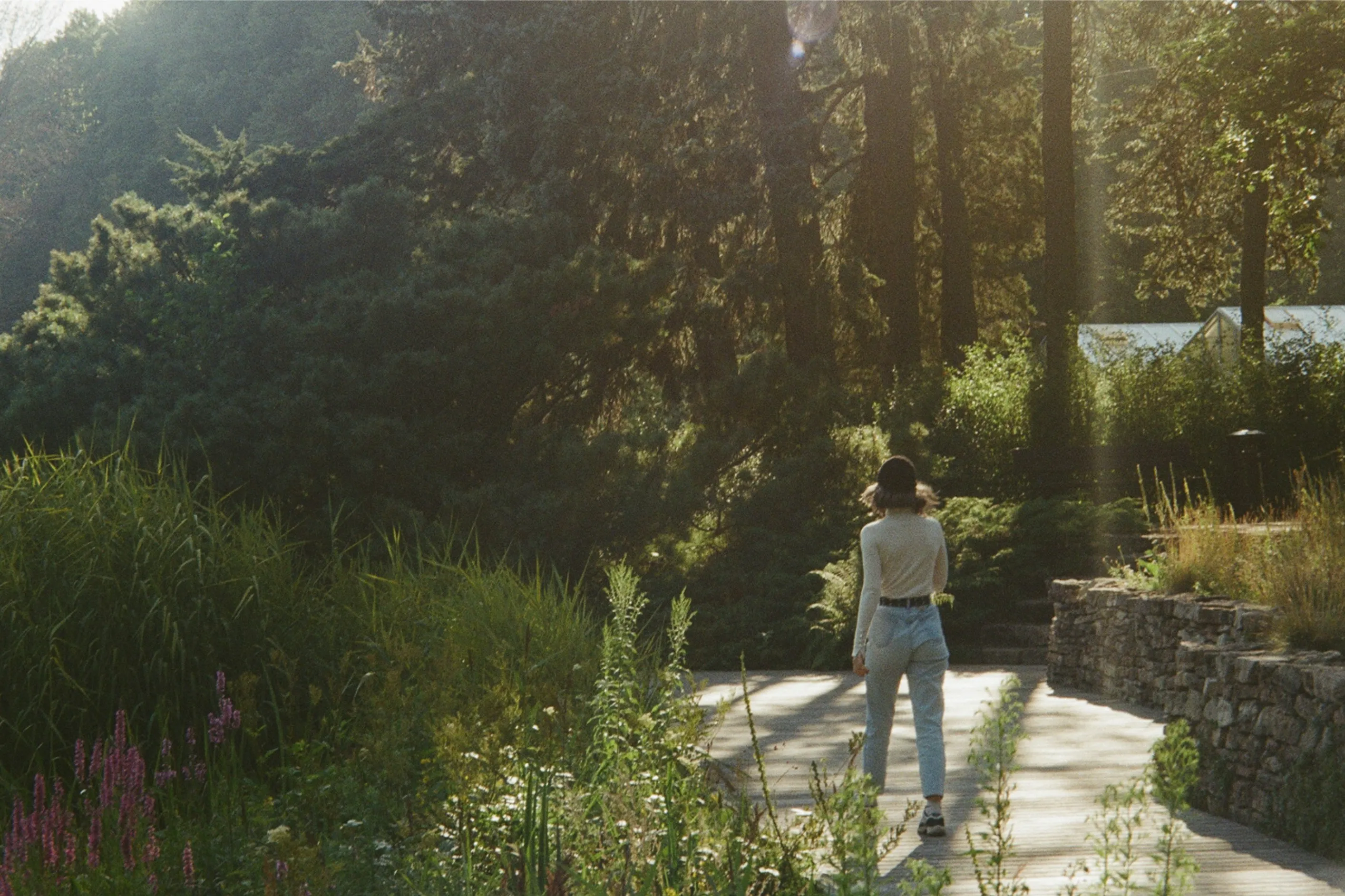 Person walking peacefully on a sunny path surrounded by nature